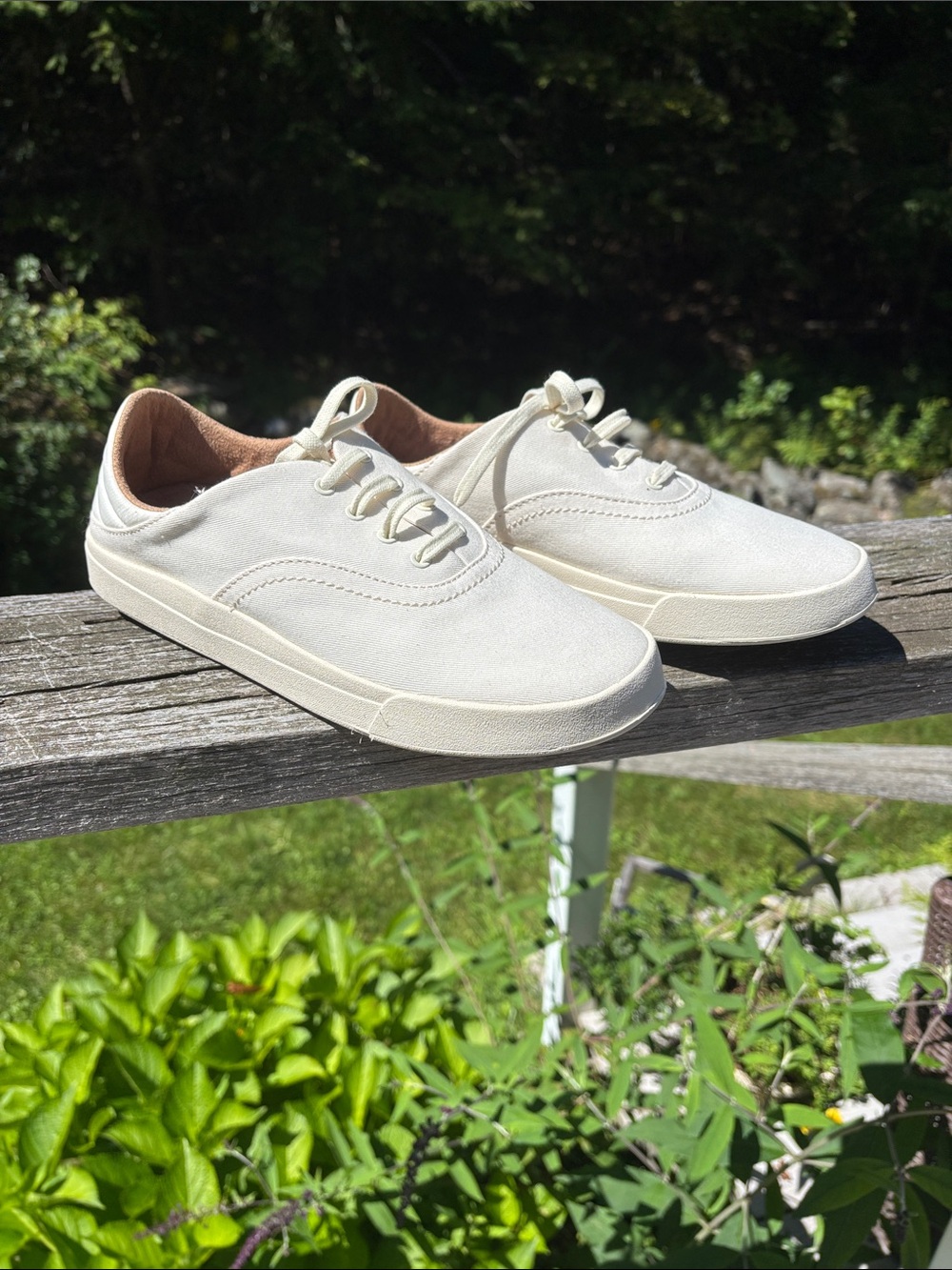 Olukai Kohu Cream Canvas Rubber Sole  Sneakers